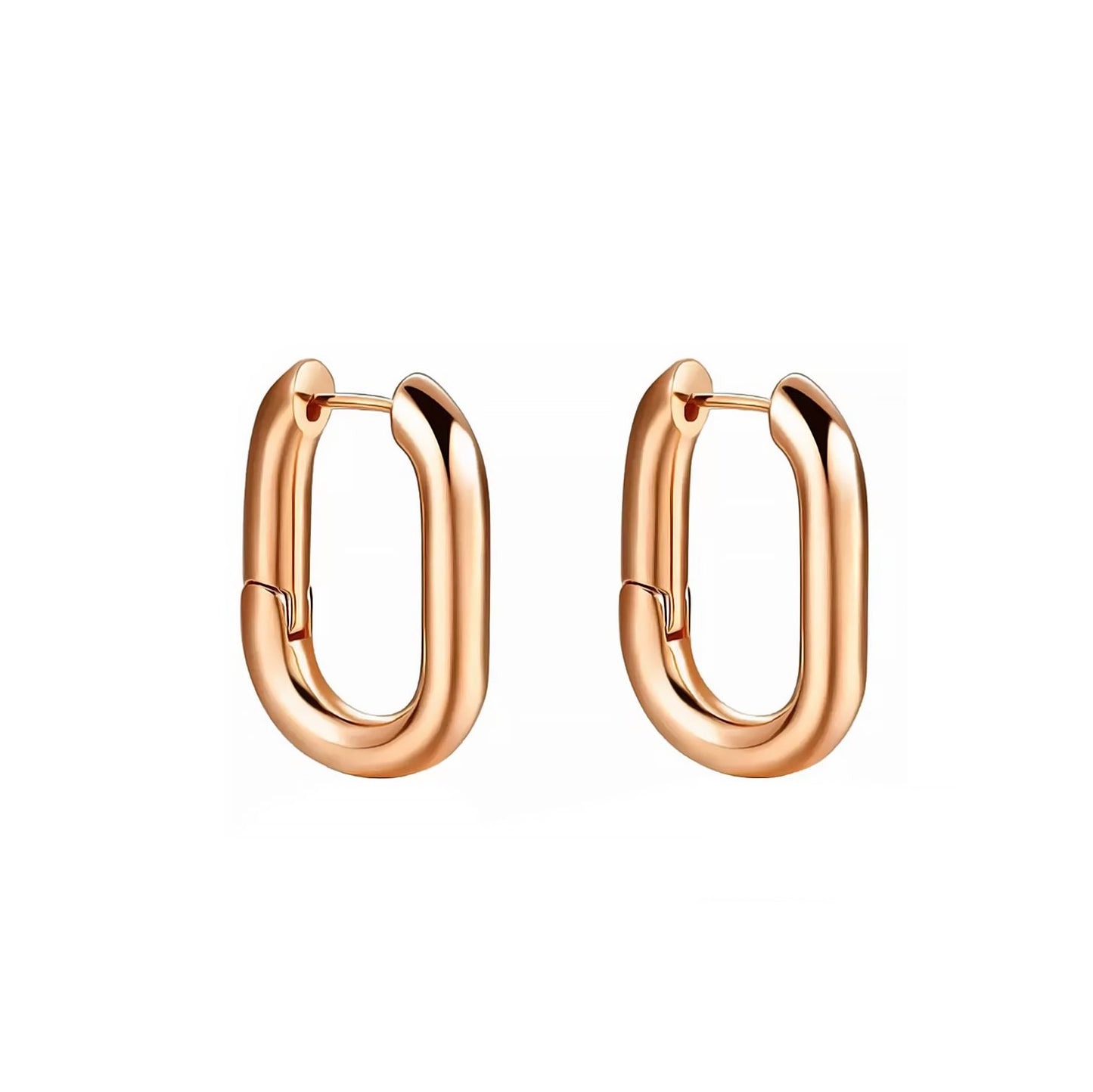 ROBERTA EARRINGS